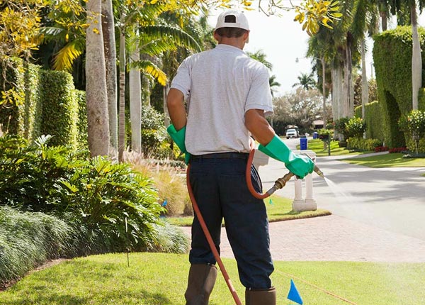 About Andover VA Pest Control